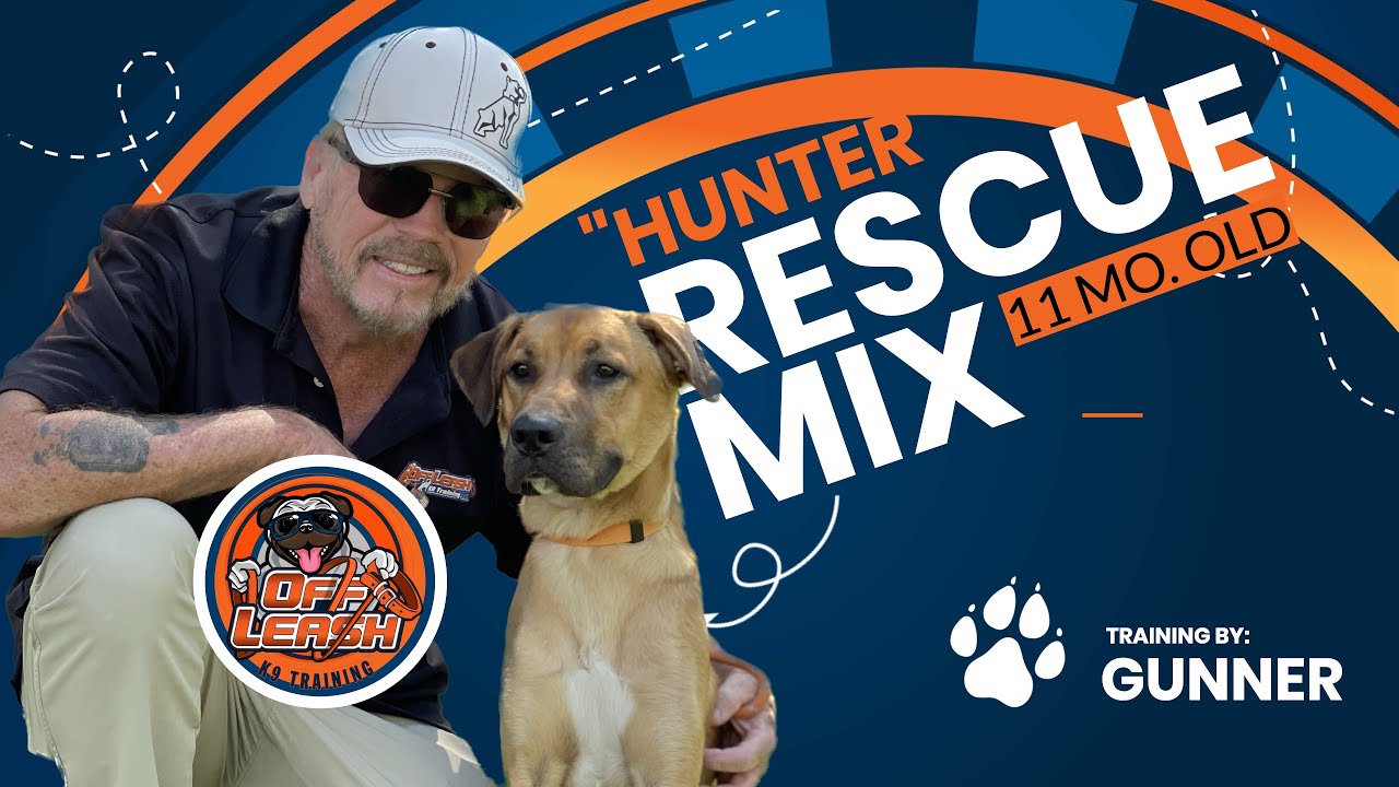 🐶🐾Dog Training / Prescott Arizona Dog Trainers🐾🎥