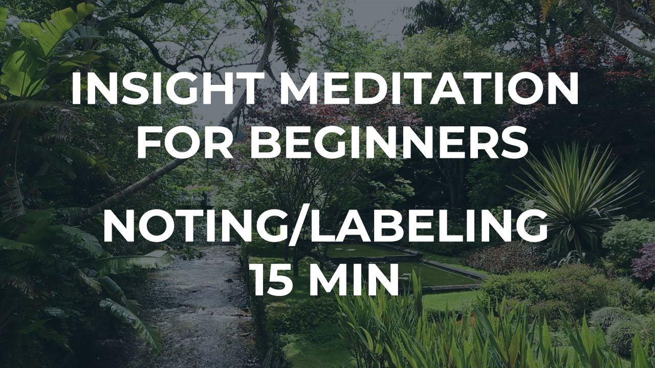 Guided Introduction to Insight Meditation - Noting - 15 minutes