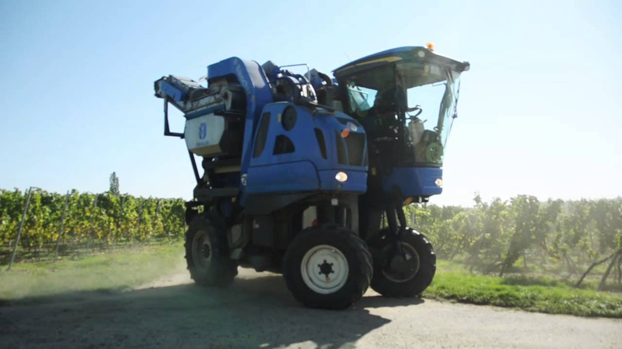 Traubenlese 2015 New Holland Braud VL660