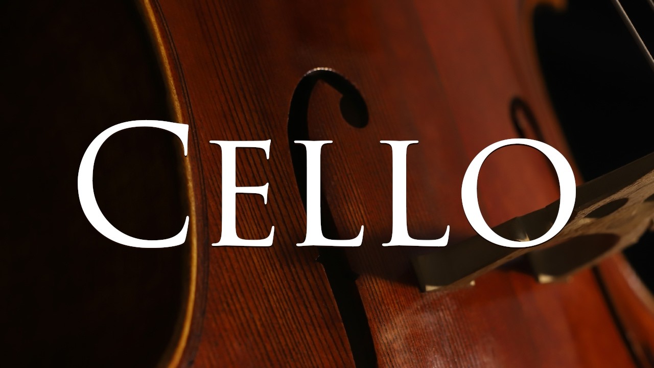 Inspiring Classical Pizzicato Cello
