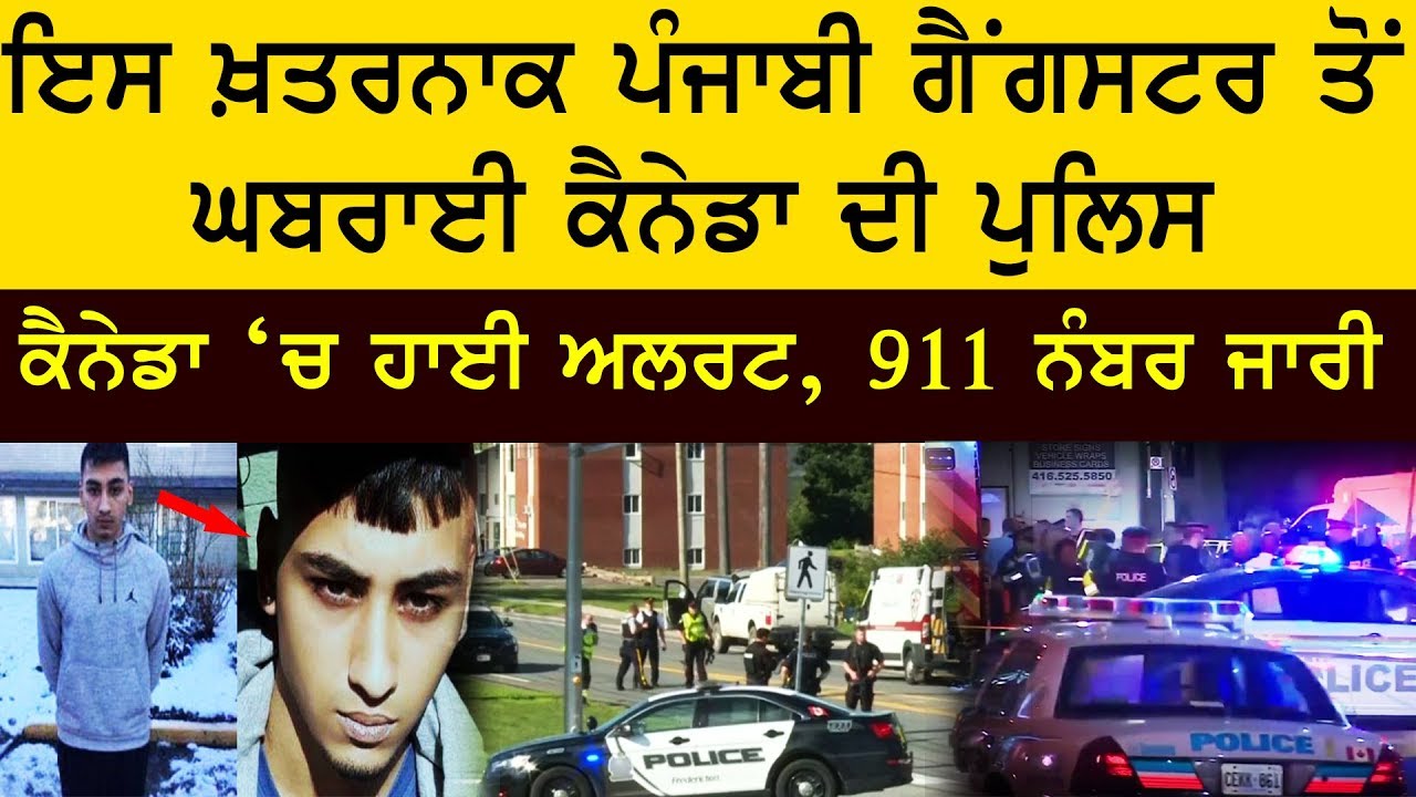 ਇਸ ਖ਼ਤਰਨਾਕ ਪੰਜਾਬੀ ਗੈਂਗਸਟਰ ਤੋਂ ਘਬਰਾਈ ਕੈਨੇਡਾ ਦੀ ਪੁਲਿਸ | Abbotsford | Canada | Punjabi | Gangster