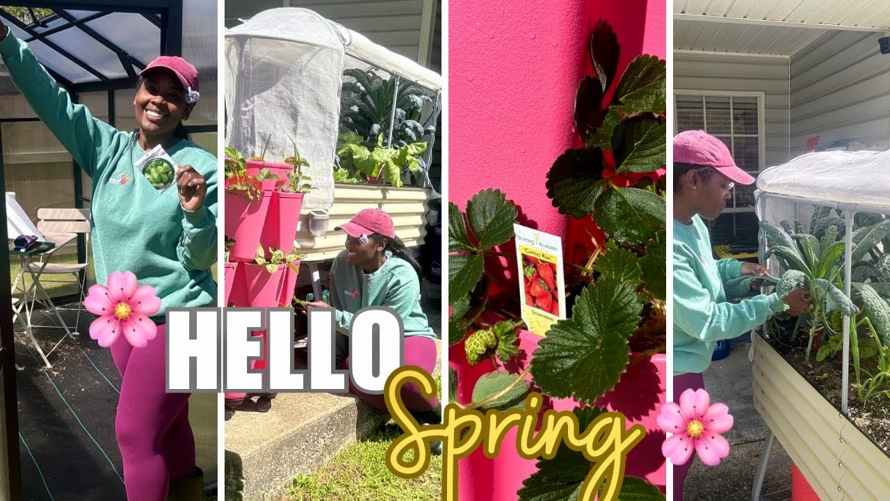 WHAT’S GROWING & WHAT’S STRUGGLING IN OUR GARDEN + SOMETHING NEW IN THE GREENHOUSE 