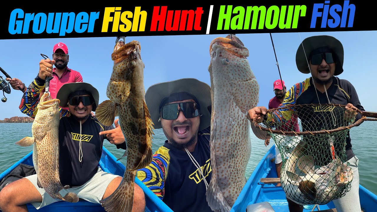 Grouper Fishing in Malpe | Caught Huge Size Grouper Fish #fishingvideo