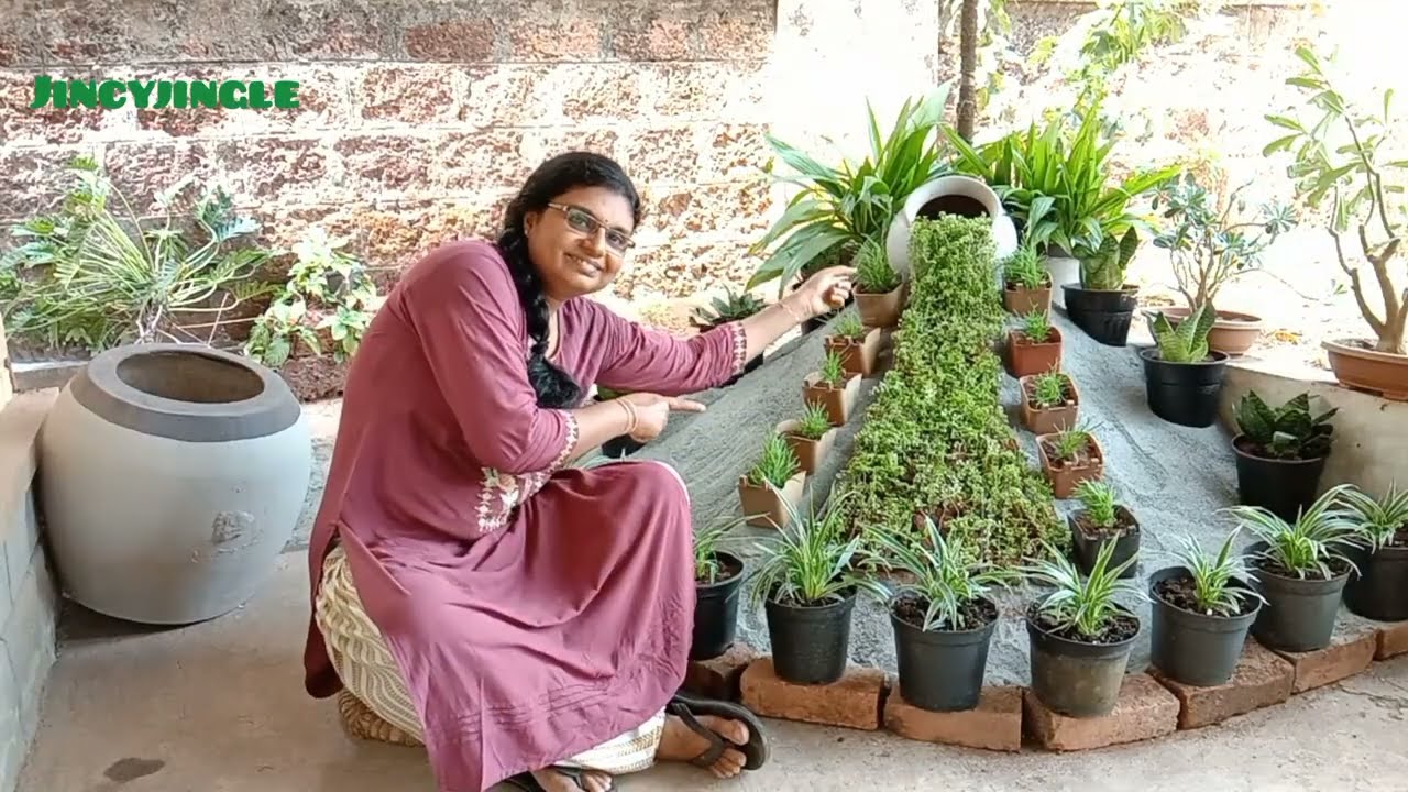 🪴 beautiful garden   ഭംഗിയുള്ള ഗാർഡൻ എങ്ങനെ സെറ്റ് ചെയ്യാം jinsi Jingle YouTube channel