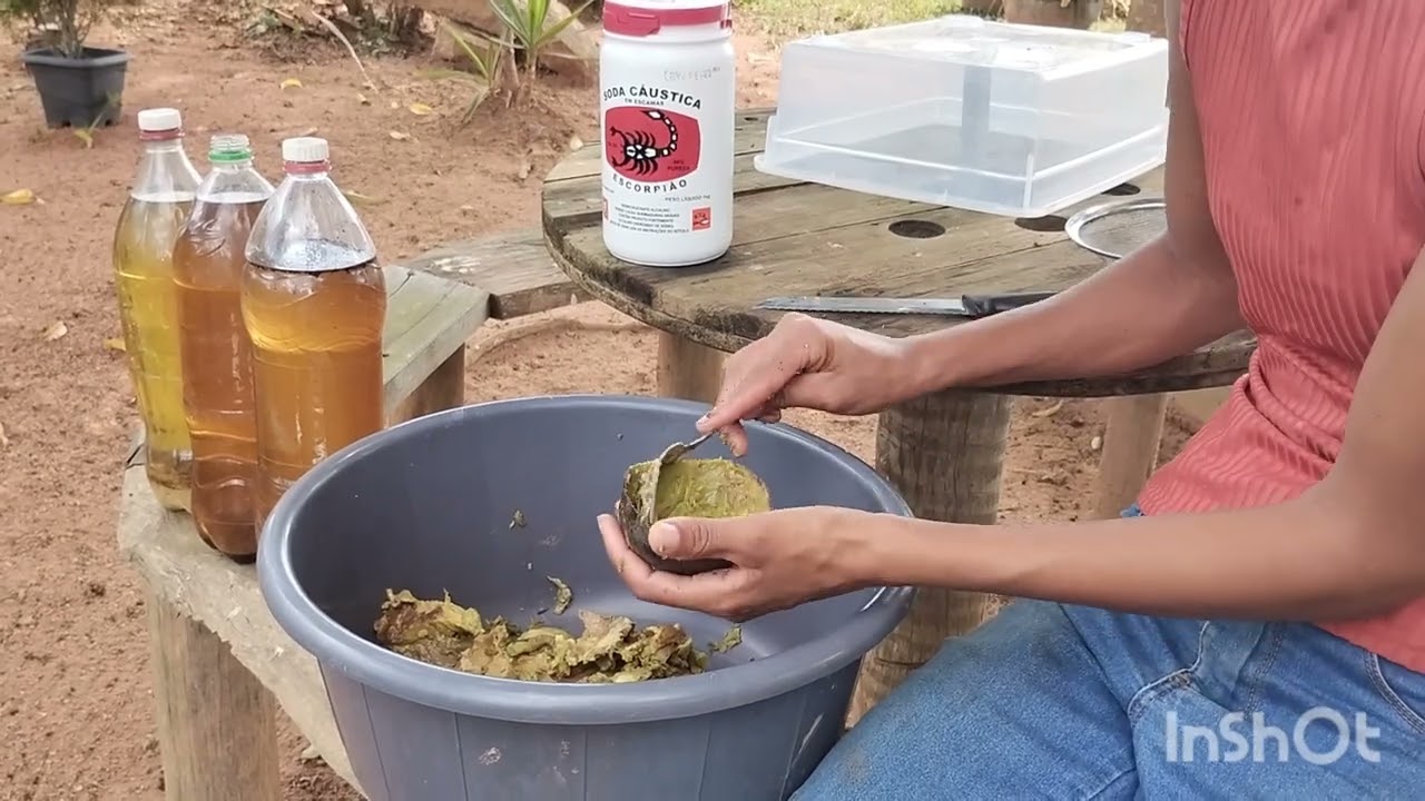 SABÃO DE ABACATE 🥑 UMA RECEITA SIMPLES E QUE DÁ CERTO