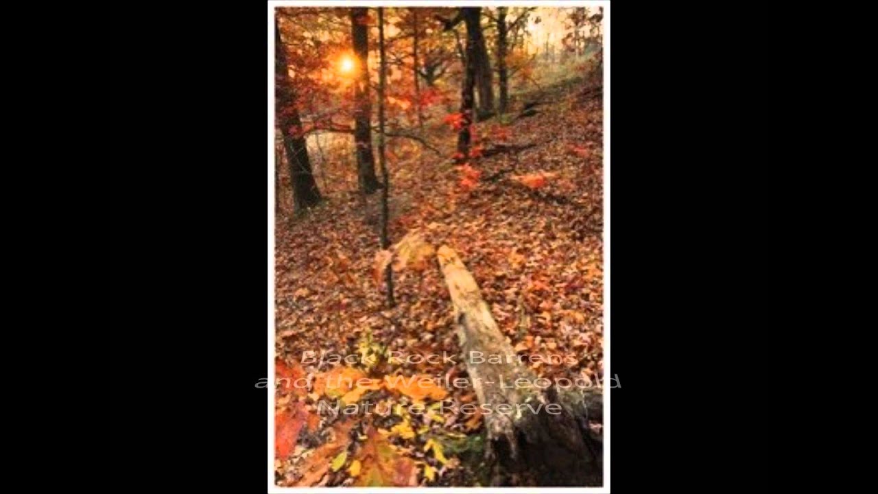 Field Ecology: Best Learning Experience
