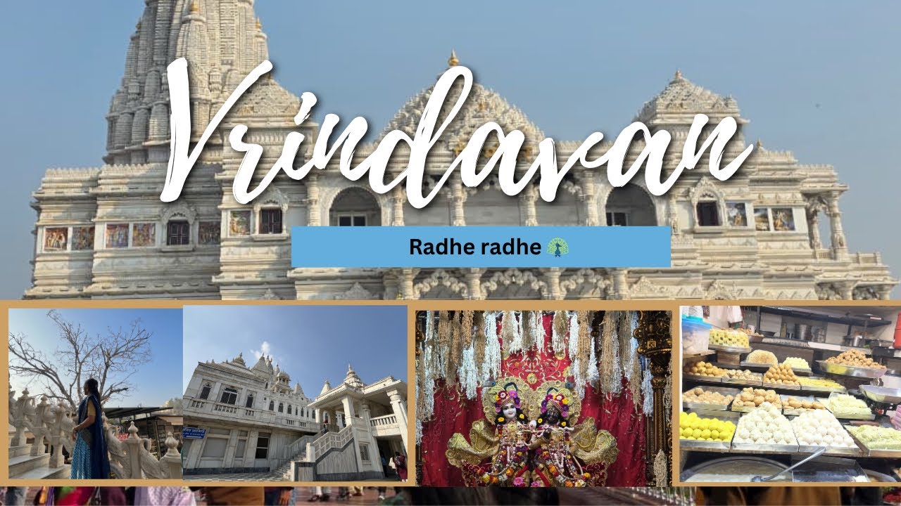 Vrindavan trip part 1 ♥️🦚 | VLOG-02
