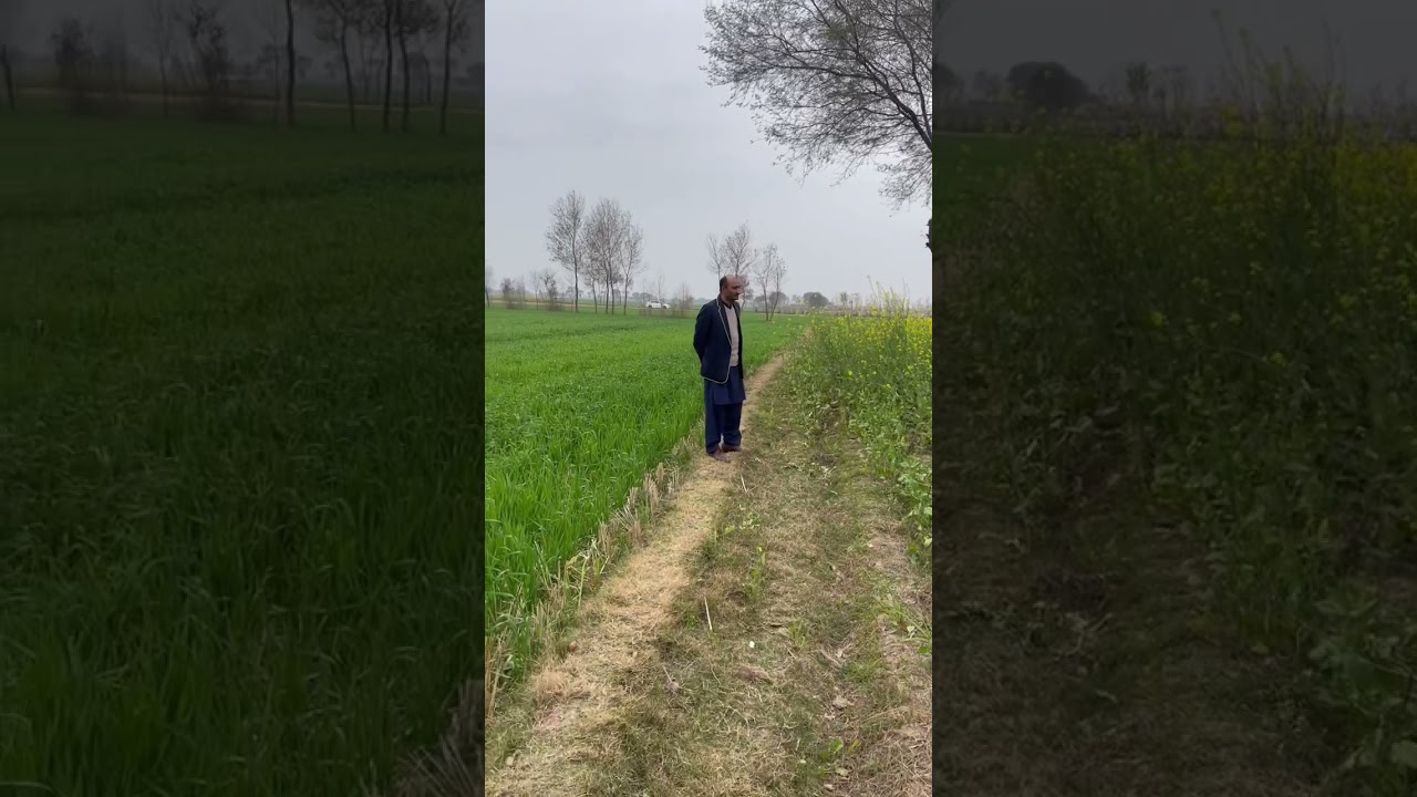 Visit to salarwahin