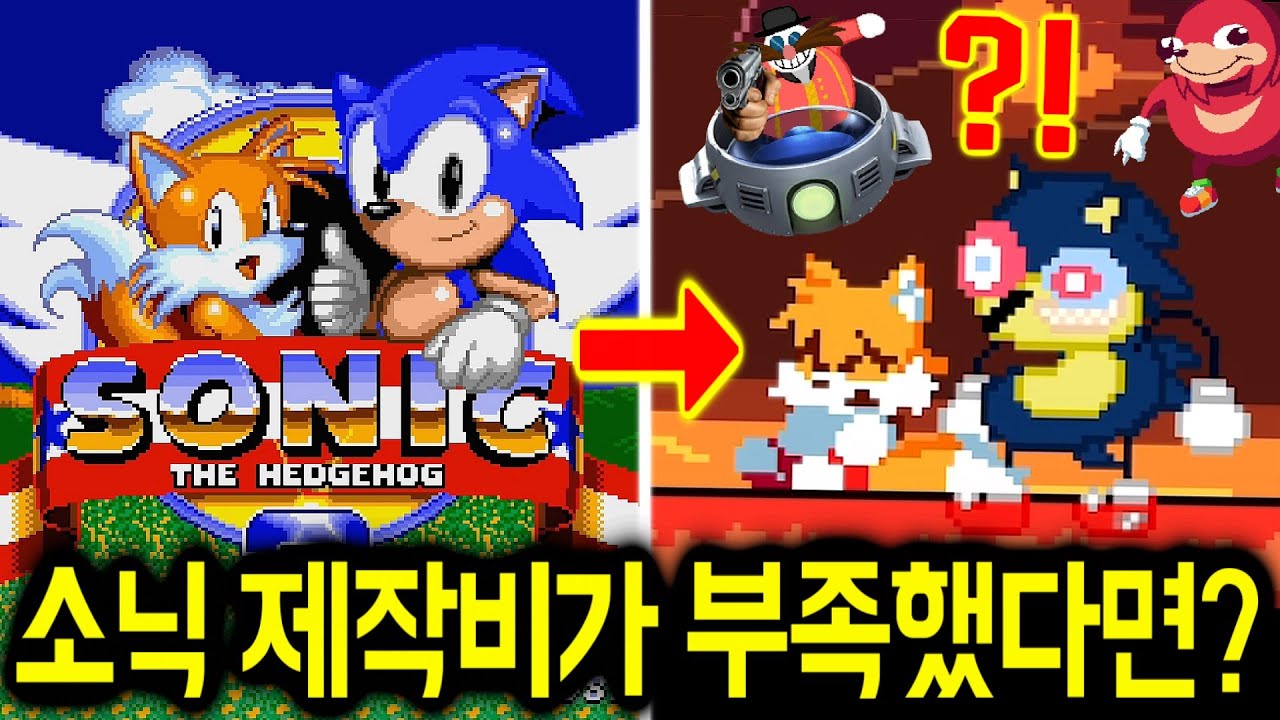 만약 소닉게임 제작비가 부족했다면? 웃김주의ㅋㅋㅋ (SONIC.DMG / 소닉 exe 공포게임)