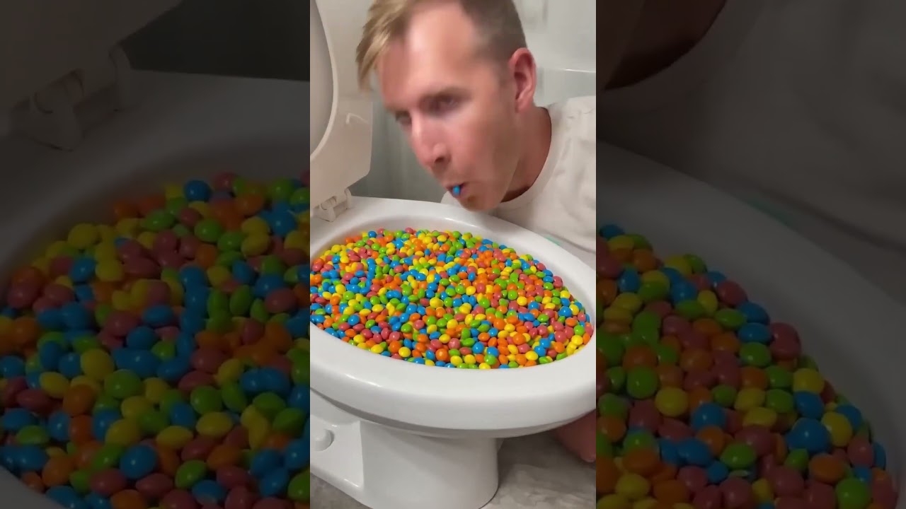Funny Toilet and Crazy Bear 