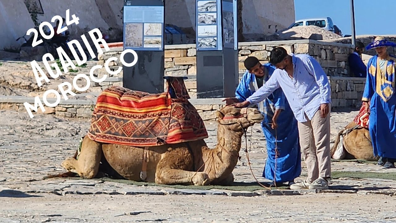 Agadir, October 2024  |  Morocco