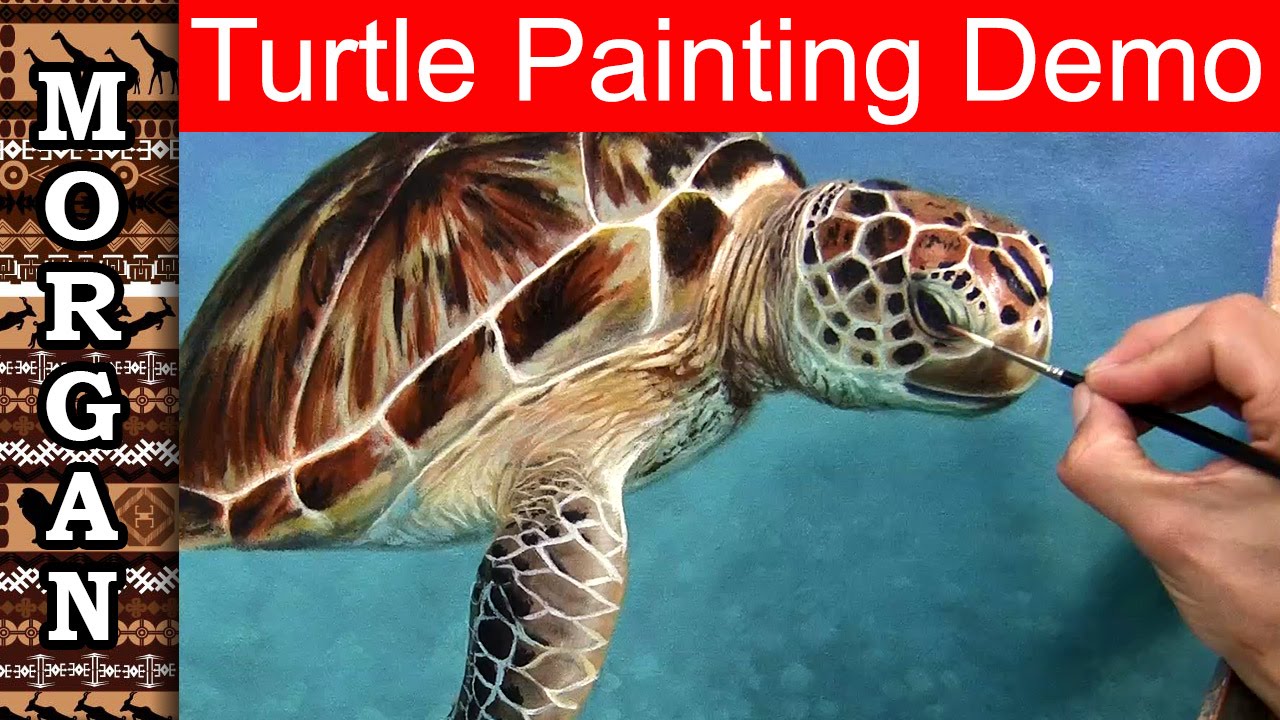 Turtle Oil Painting Demo - Jason Morgan wildlife art