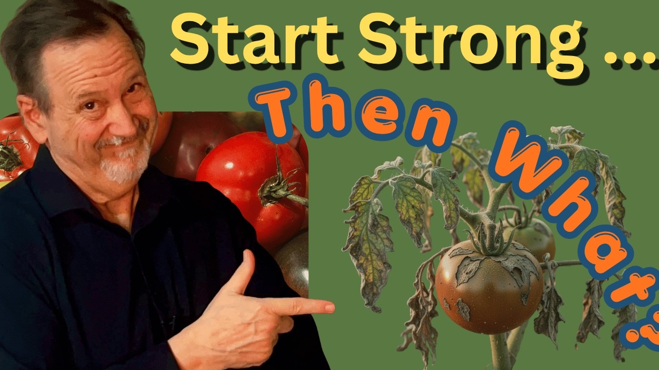 Why Most Habits Slowly Disappear_YouTube