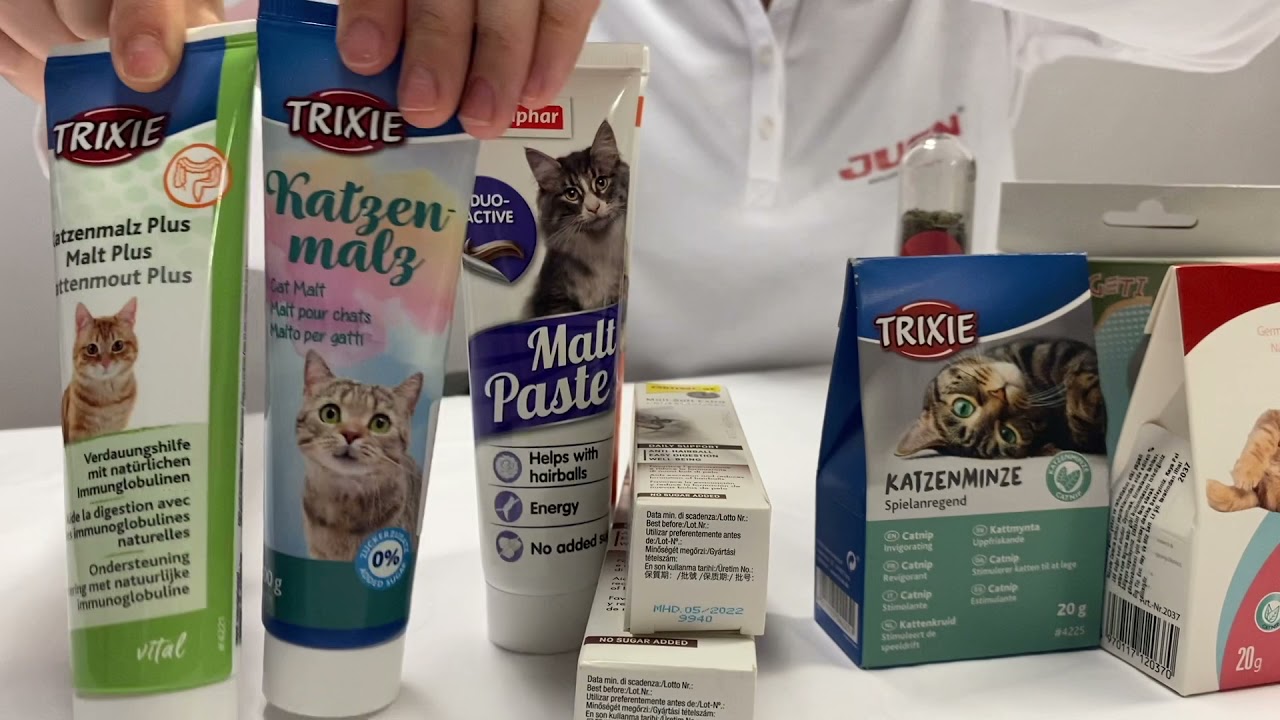 Kedi maltları ve kedi otları