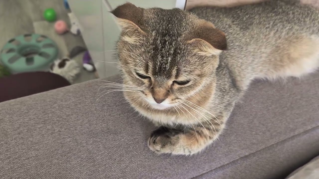 Как проходит наша суббота 😊