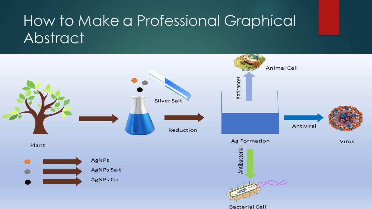 How To Make A Professional Graphical Abstract (كيفية عمل graphical abstract بصورة احترافية)