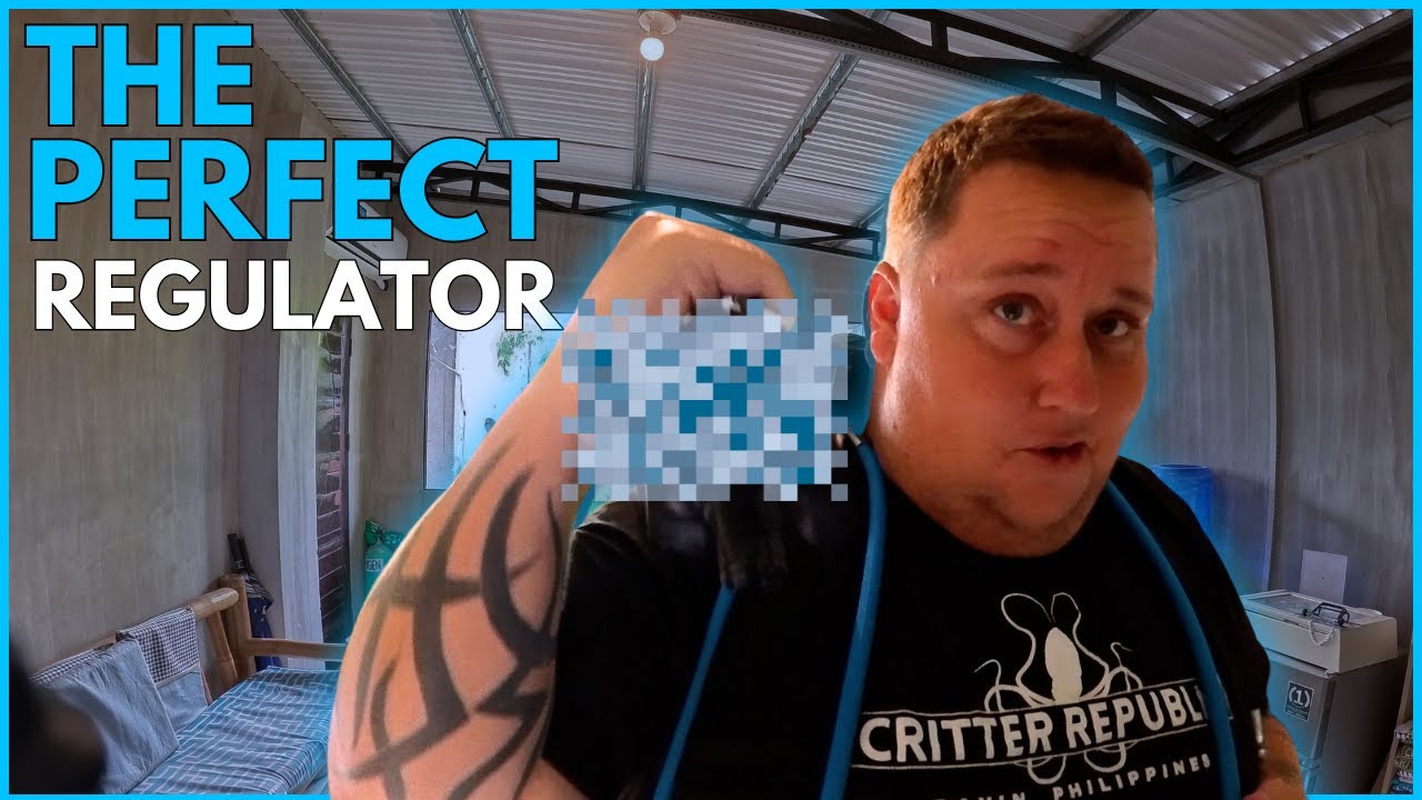Customize your regulator to fit you