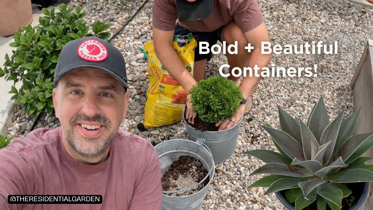Bold & Beautiful Containers + Mangave, Arbs, Superbena, Caladiums