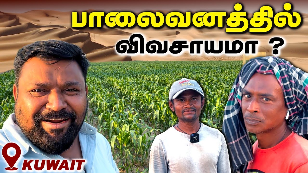 பாலைவனத்தில் எப்படி விவசாயம் பண்றாங்க | Kuwait Desert Farming 😱 | Gobinath