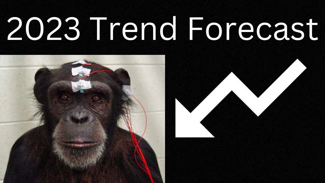 Trend Forecast 2023