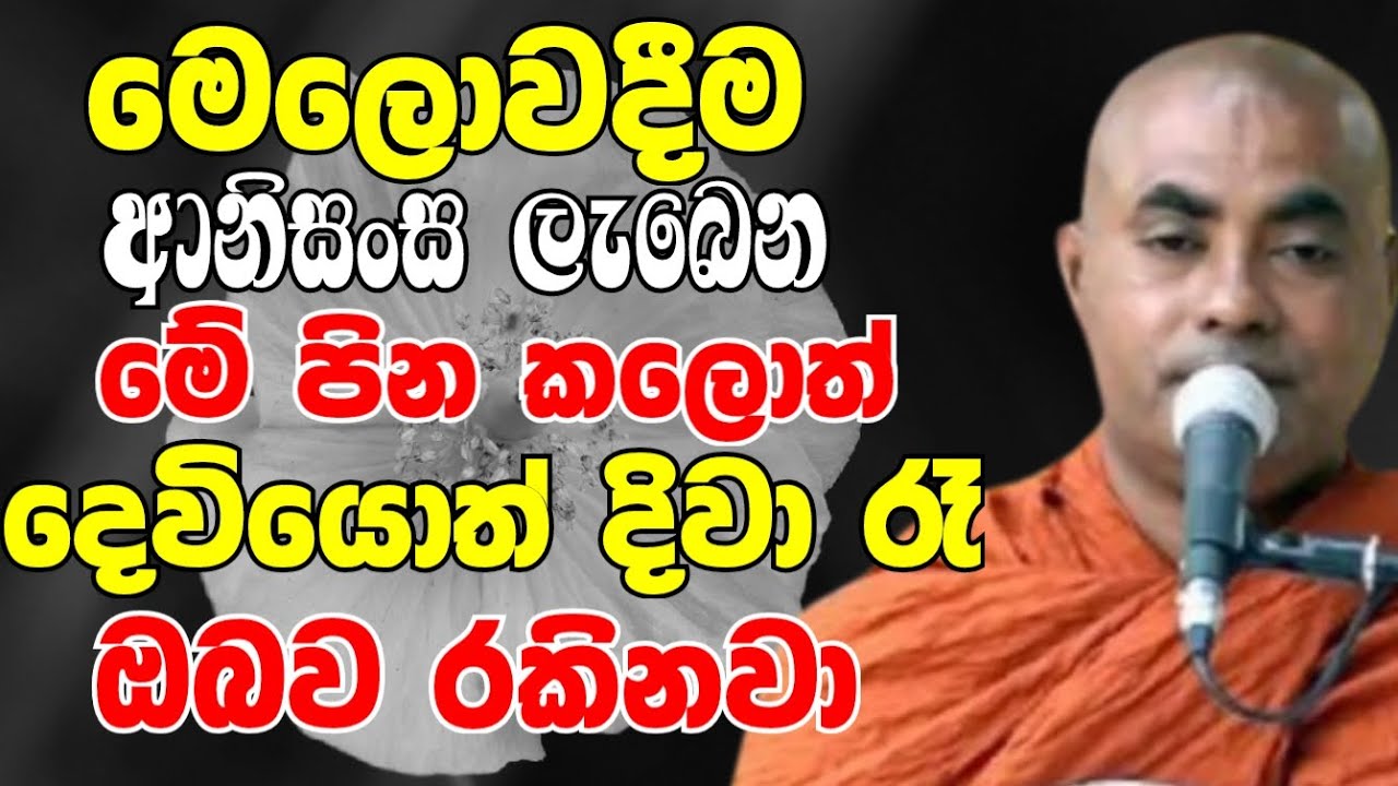 මෙලොවදීම ආනිසංස ලැබෙන මේ පින්කම කලොත් දෙවියොත් දිවා රෑ ඔබව රකිනවා | Koralayagama Saranathissa Thero