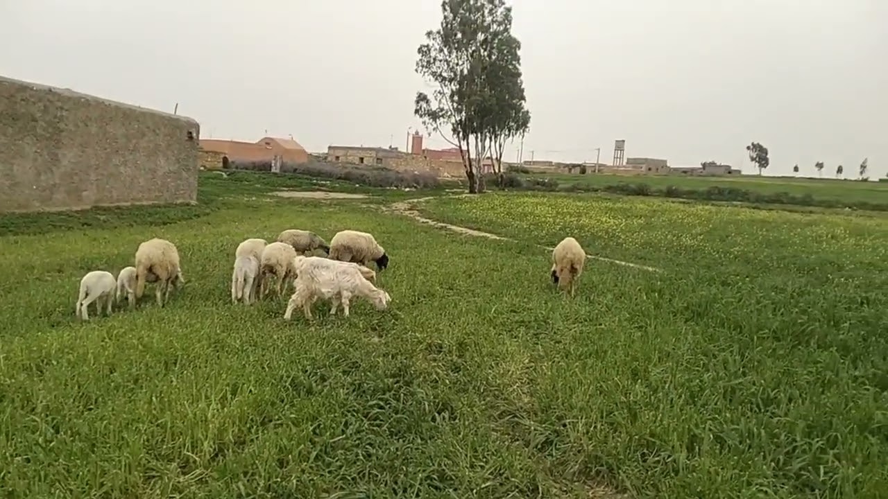 28 فبراير 2026
