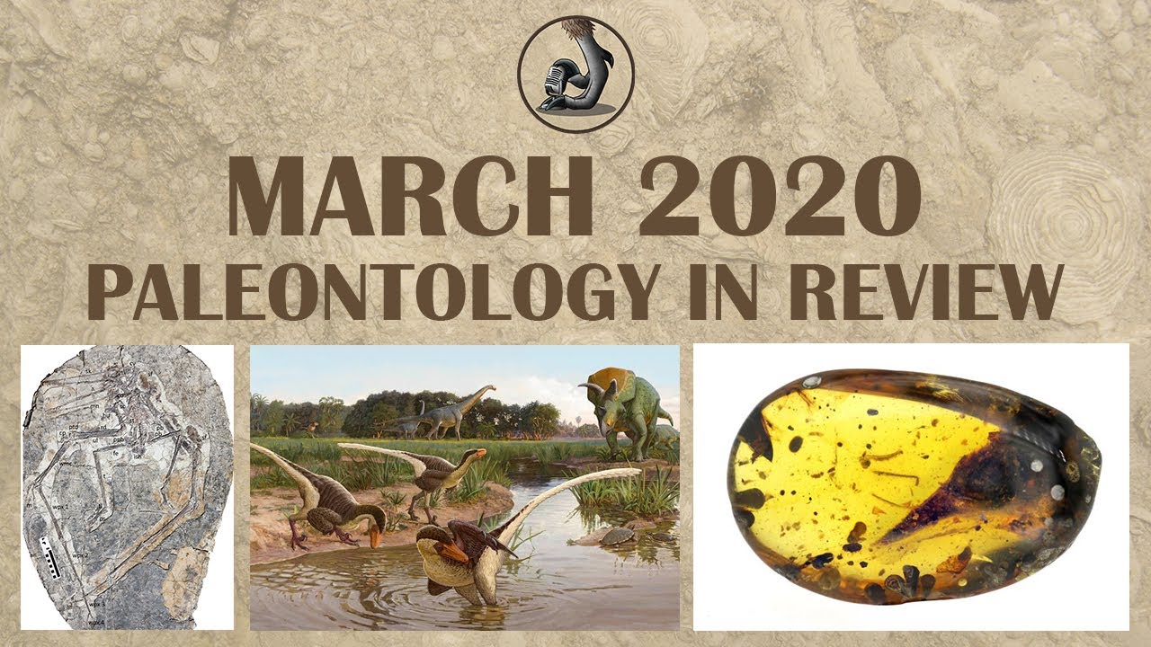 New Fossils and Paleontology- March 2020