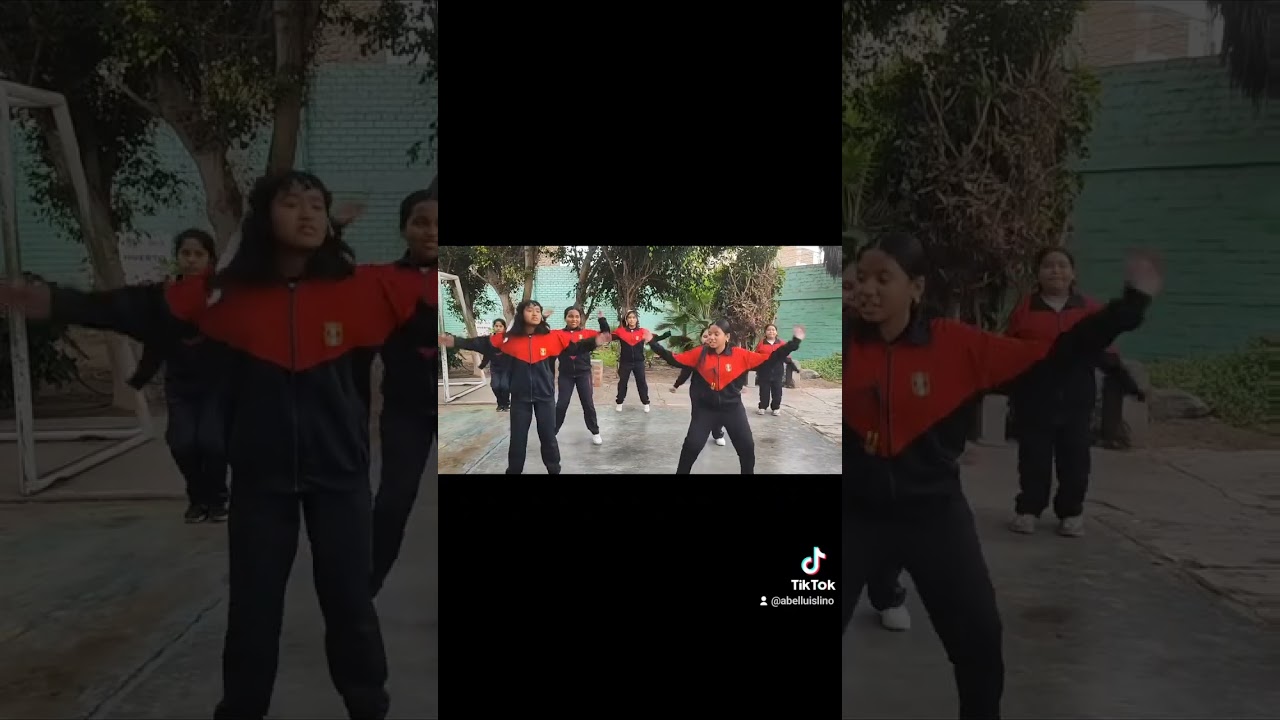 Actividad Física Saludable_ Semana Nº 2
