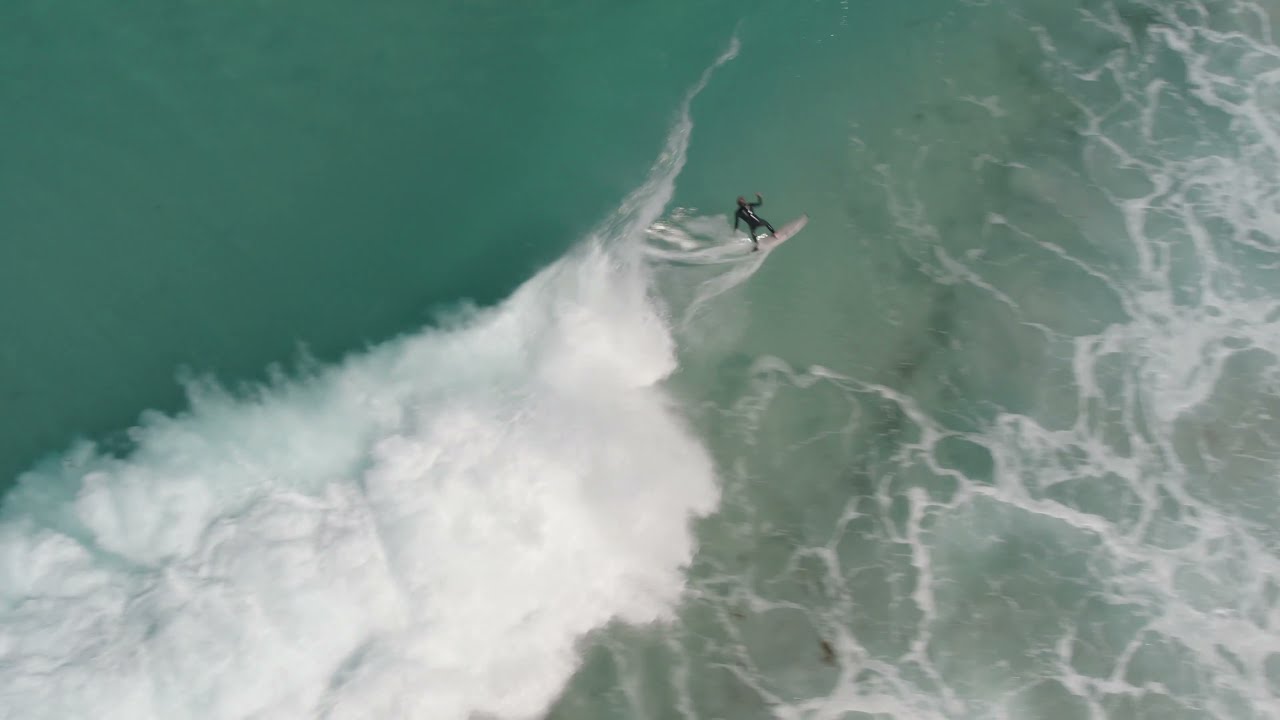 Salt Tree - Out of the Water (Official Video)