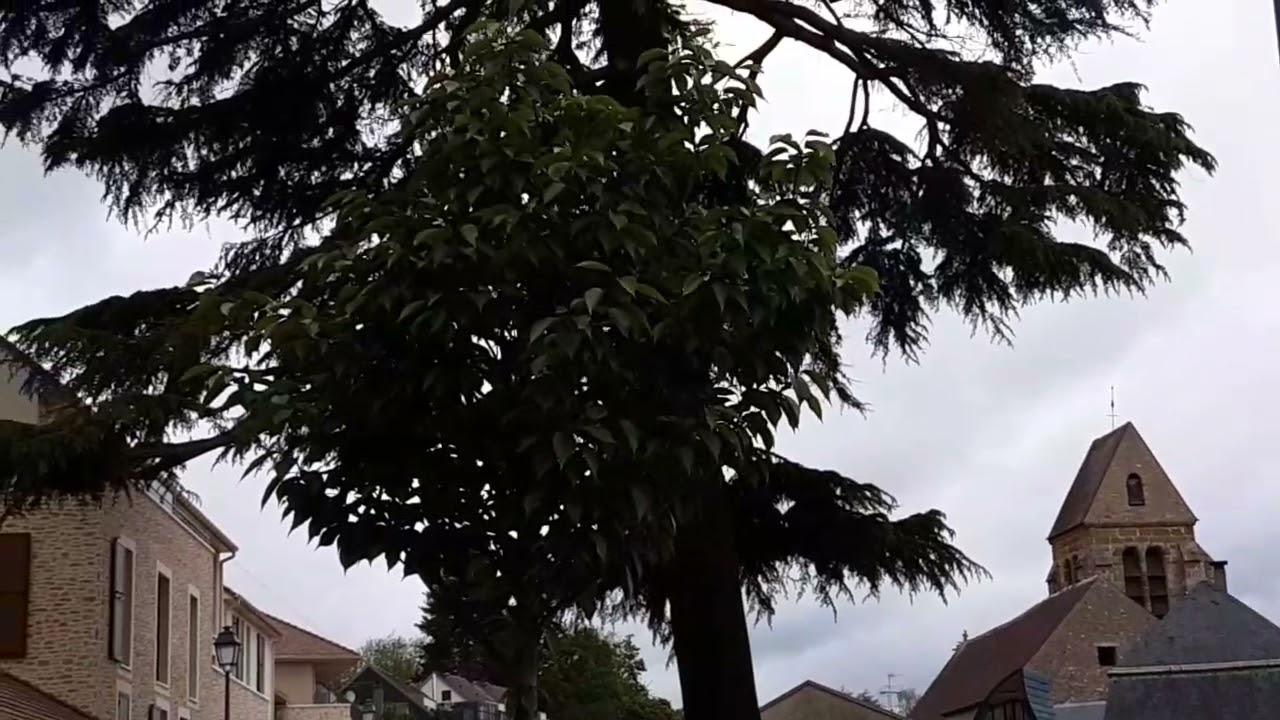 flânons à IGNY (91)