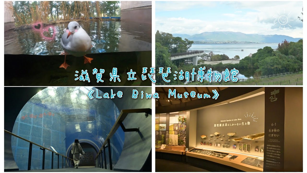 滋賀観光🚐《Shiga Trip》/滋賀県立琵琶湖博物館