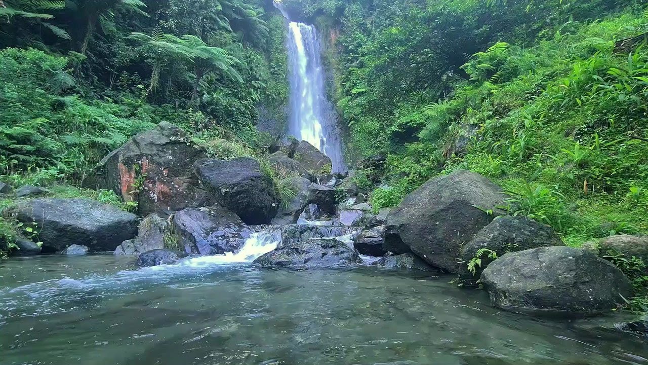 Soft River Ambience | Natural White Noise to Focus and Unwind