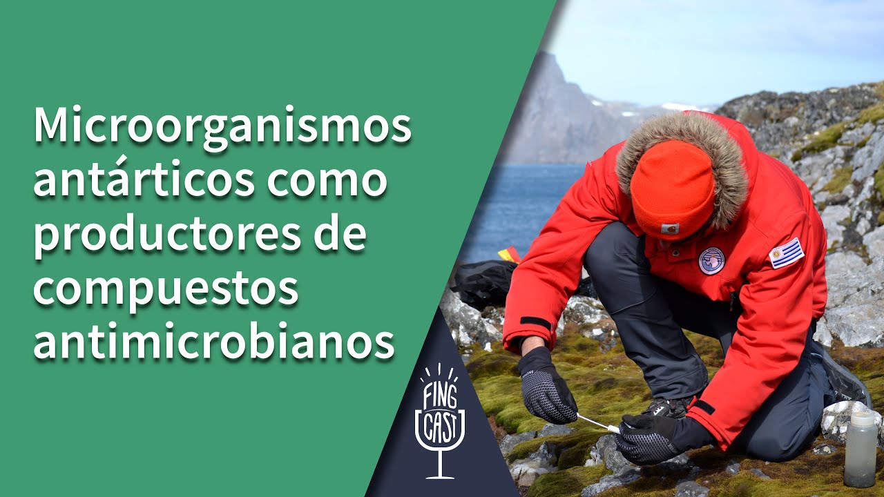 🔬❄️Microorganismos de la Ant&aacute;rtida y su Potencial en Antimicrobianos  | Fingcast 2024