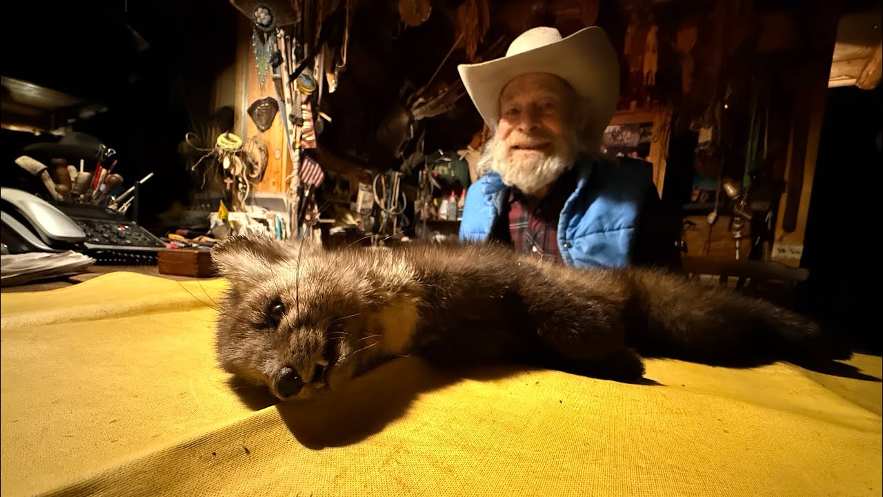 Охота на куниц с Томом Оаром из Mountain Men #tomoar #legend #martentrapping #montana #Yaak