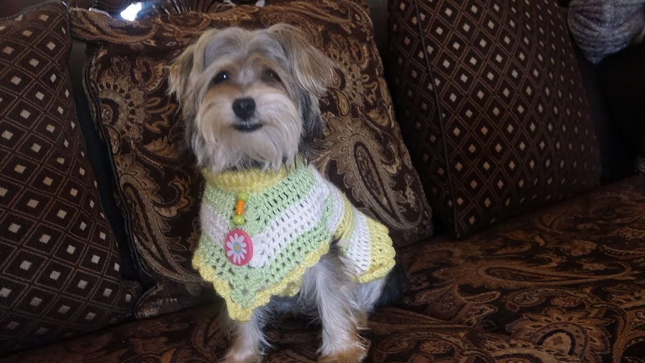 Crochet Capa para perrita /crochet dog poncho