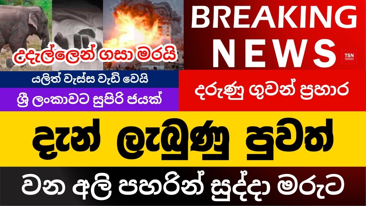 දැන් ලැබුණු පුවත් | වන අලි පහරින් සුද්දා මරුට | උදැල්ලෙන් ගසා මරයි | BREAKING NEWS | Sinhala News