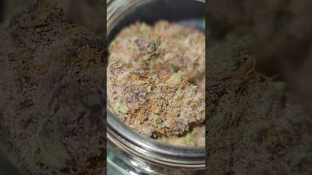 ♨️♨️♨️♨️♨️♨️EMBER VALLEY HEADMOUNT STRAIN 👍🙏🌅🌅🌅