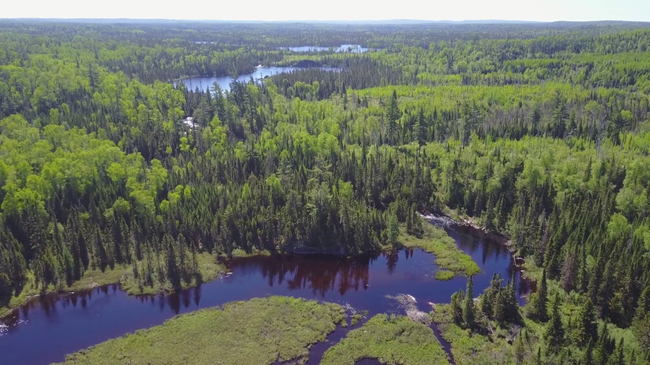 BWCA Entry Point #50-Cross Bay Lake
