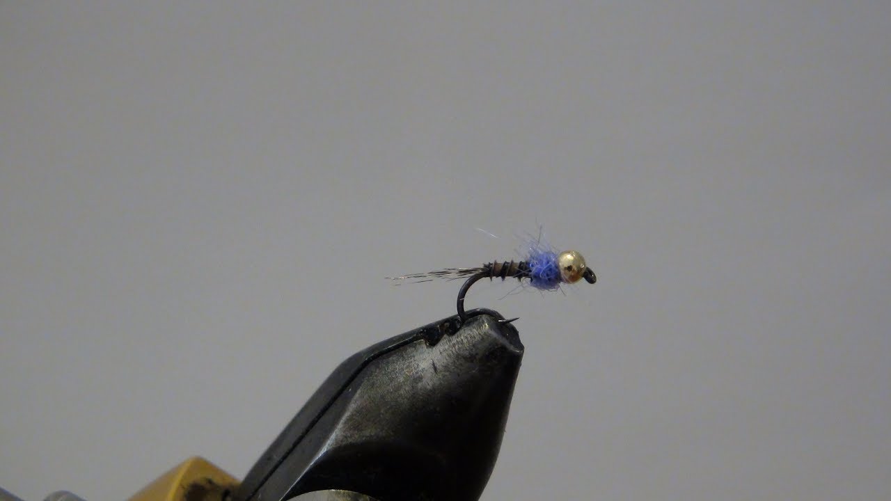 Ma meilleure nymphe : La vautour bleu