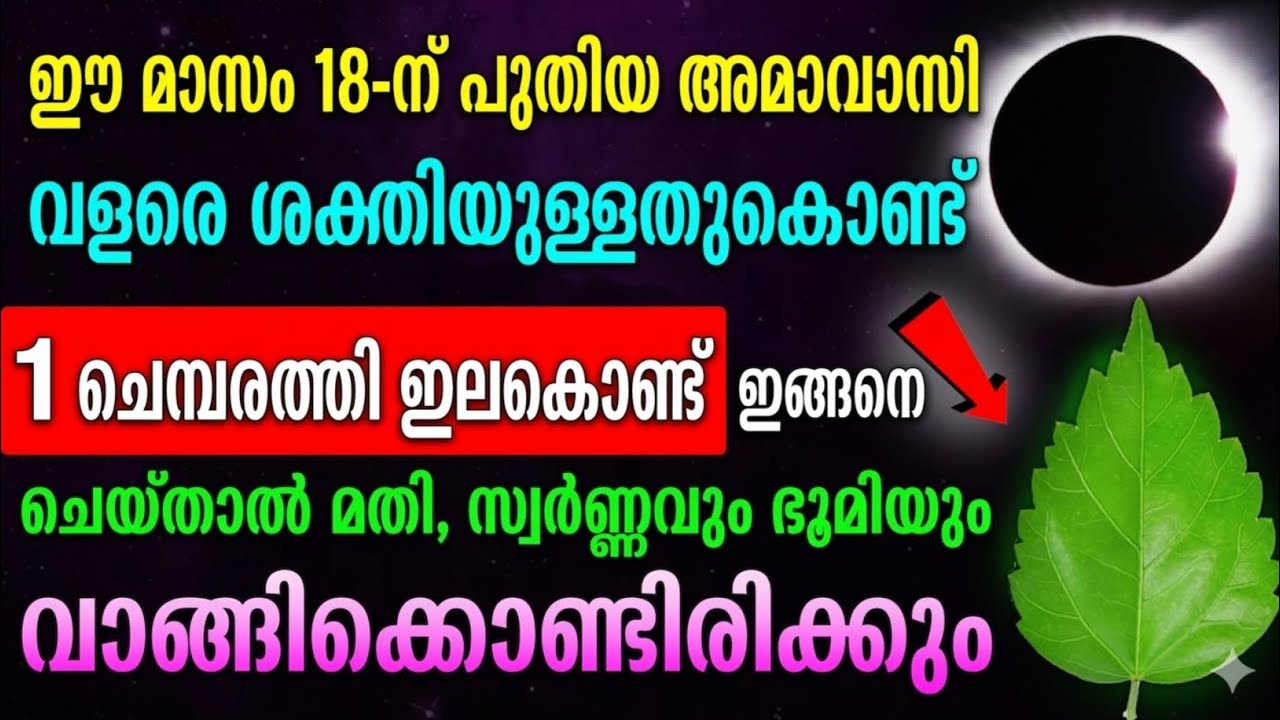 മാർച്ച് 18 അമാവാസി ശക്തി – ചെമ്പരത്തി ഇല കൊണ്ട് ചെയ്യുന്ന ഈ ഒരു കര്‍മ്മം സമൃദ്ധി നൽകും