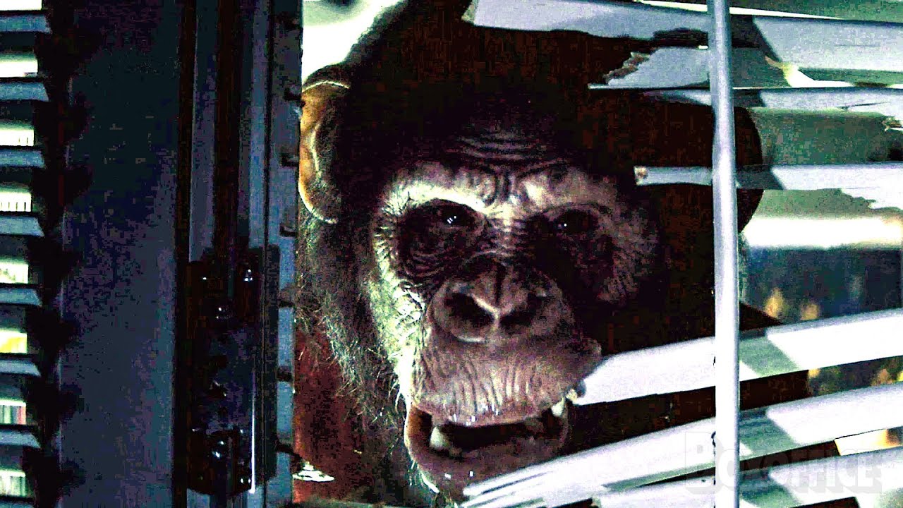 Hiding from a Killer Ape | Primate | CLIP