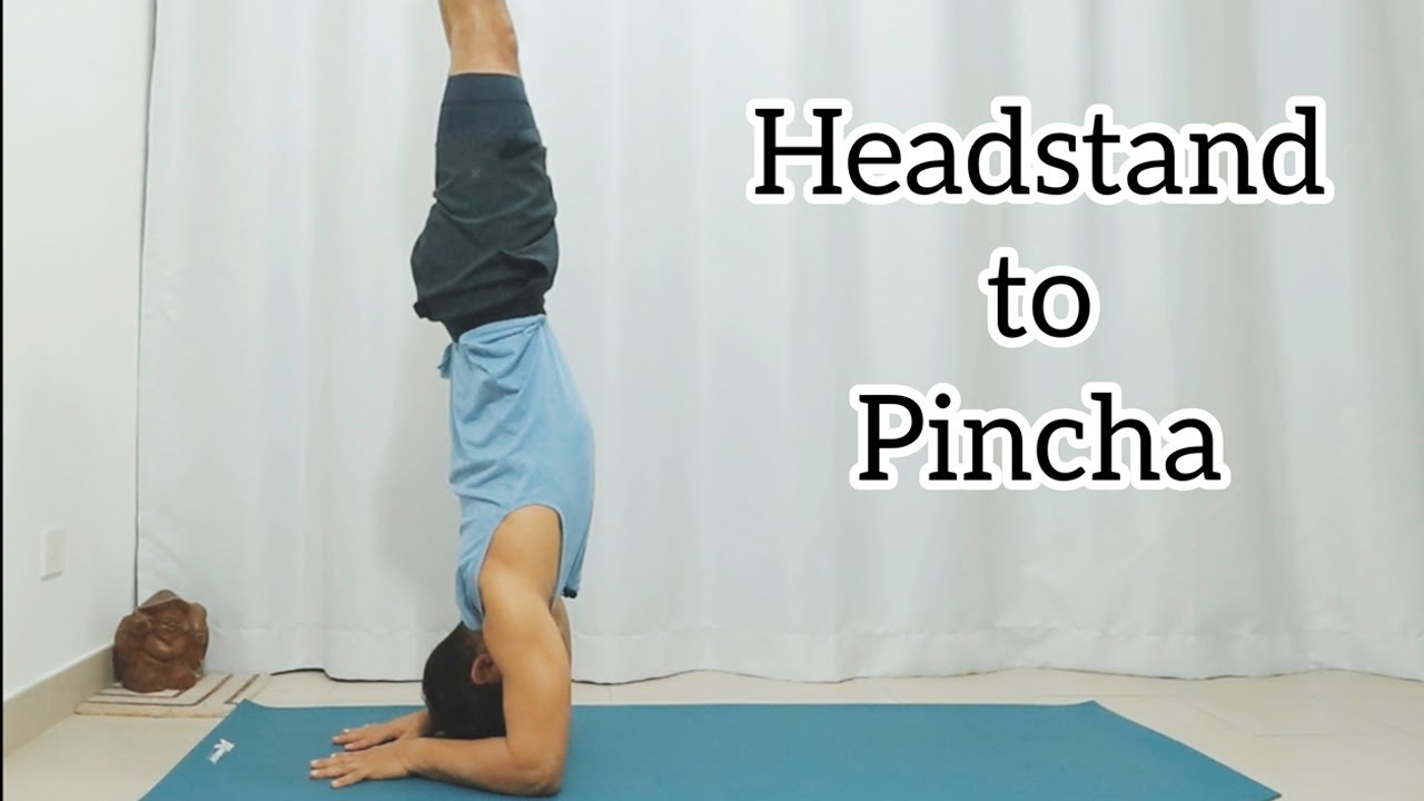 How to do Headstand to Forearm Stand (Pincha Mayurasana) | Yoga Macau 🇲🇴