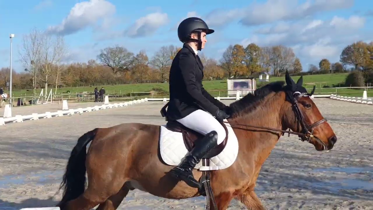 Thaïs et Isidor dressage poney 2 GP écurie de la fourerie 30 novembre 2025