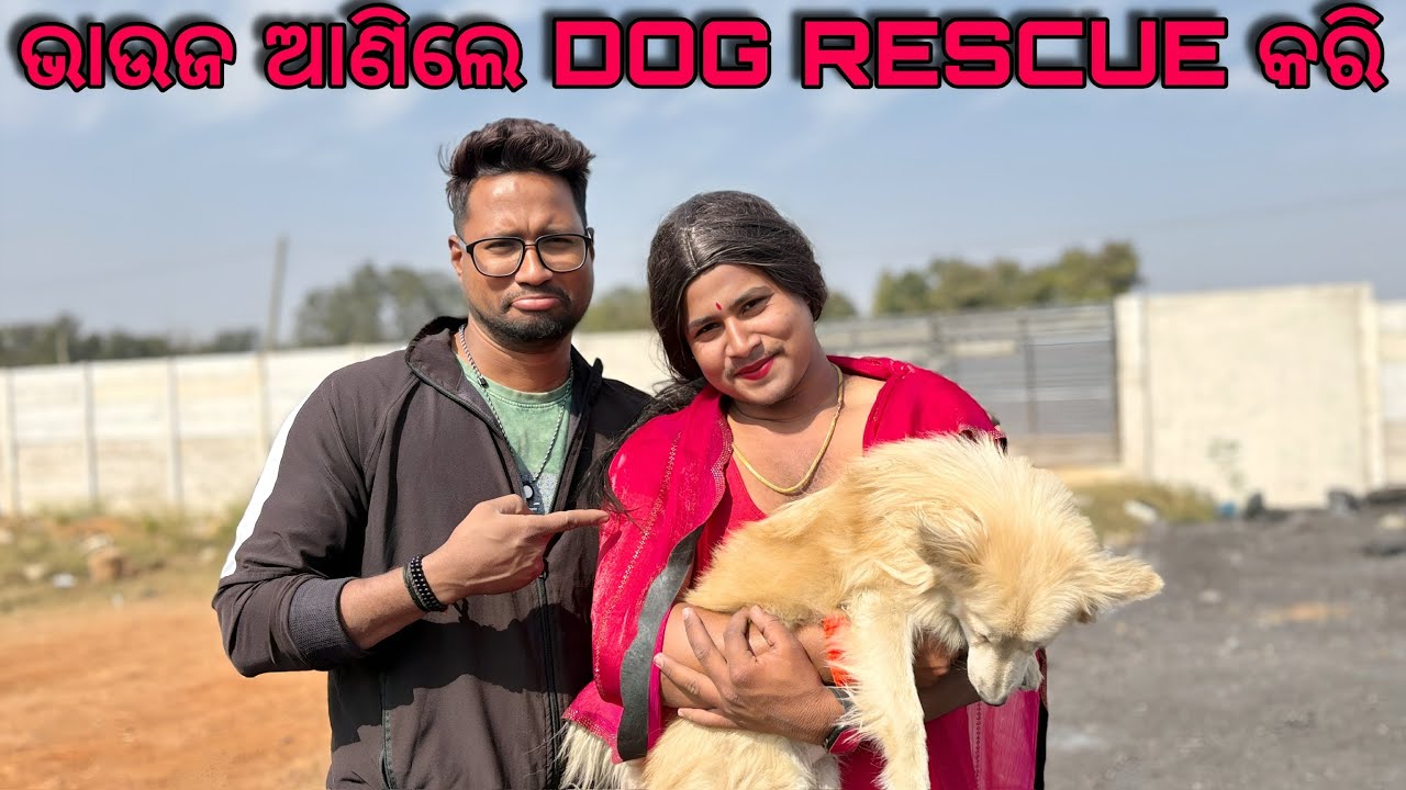 ଭାଉଜ ଆଣିଲେ DOG RESCUE କରି || LABRADOR DOG || GERMAN SHEPHERD DOG || PİTBULL DOG || 