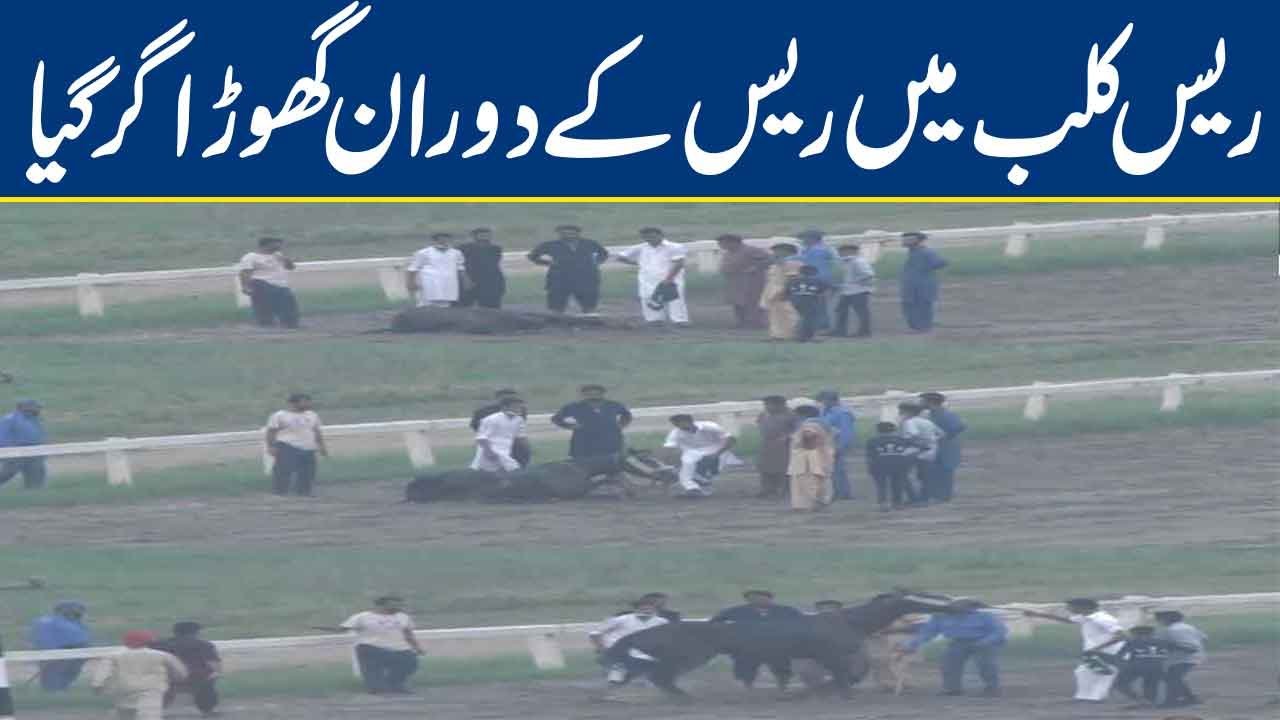 Horse fell during the race at the race club