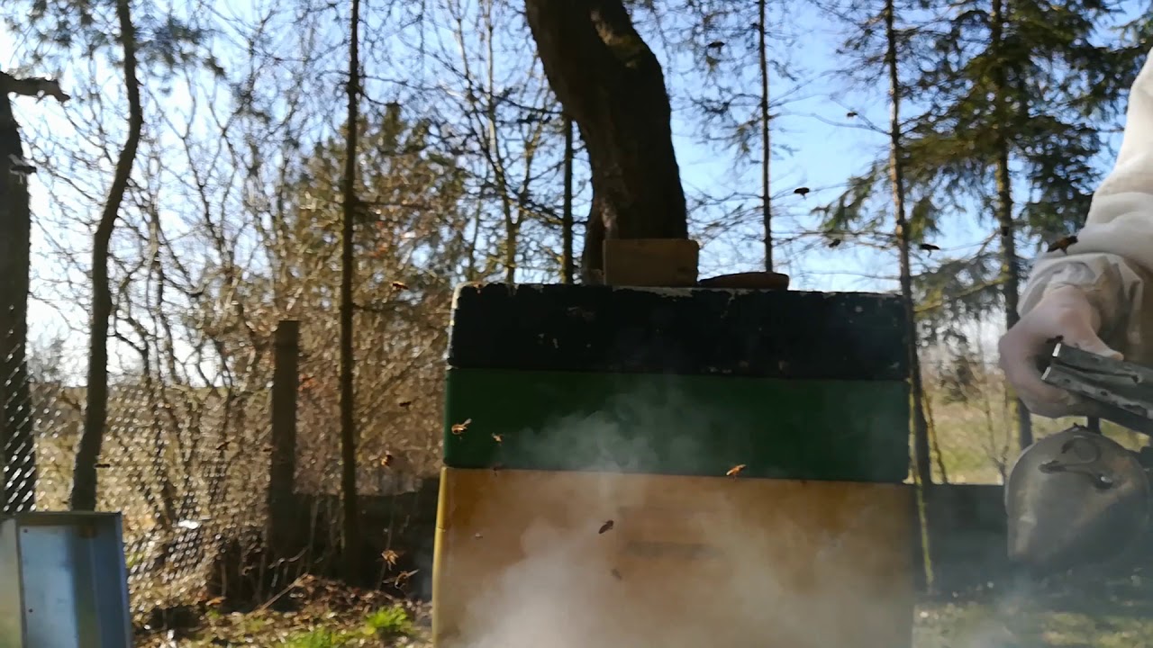 04.04.18 Bienenvolk auf einen Brutraum einengen