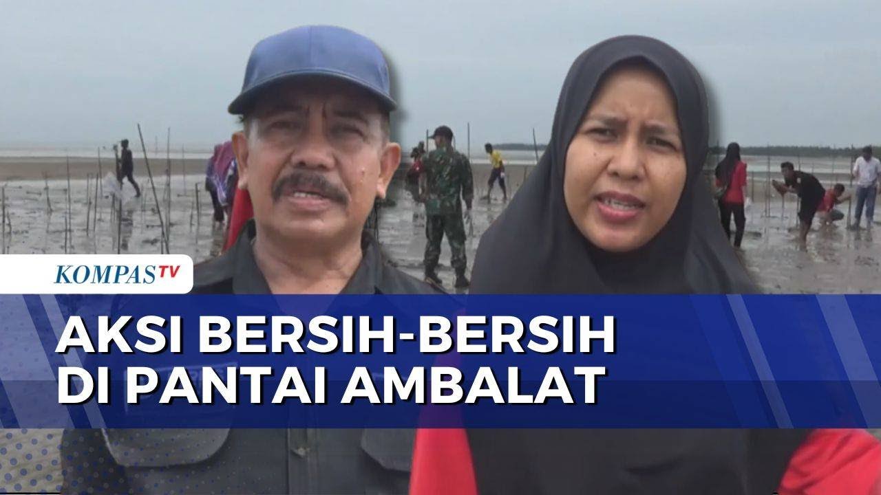Pokdarwis Karya Gelar Aksi Bersih-Bersih Pantai dan Tanam Mangrove di Ambalat | KOMPAS SIANG