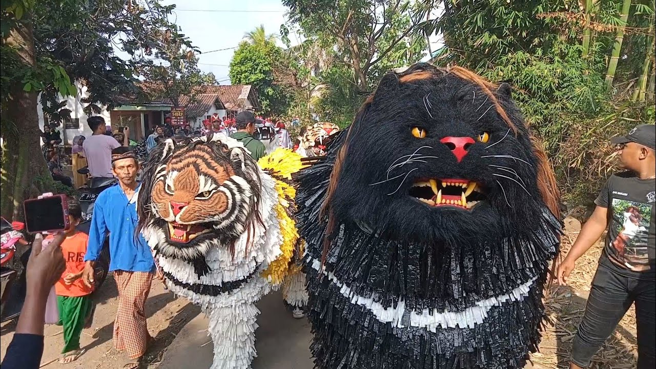 Can Macanan//Singo Raung Singo Lapar, Singo Al Azhar// Kirab di Mandiro Tegal Ampel Bondowoso