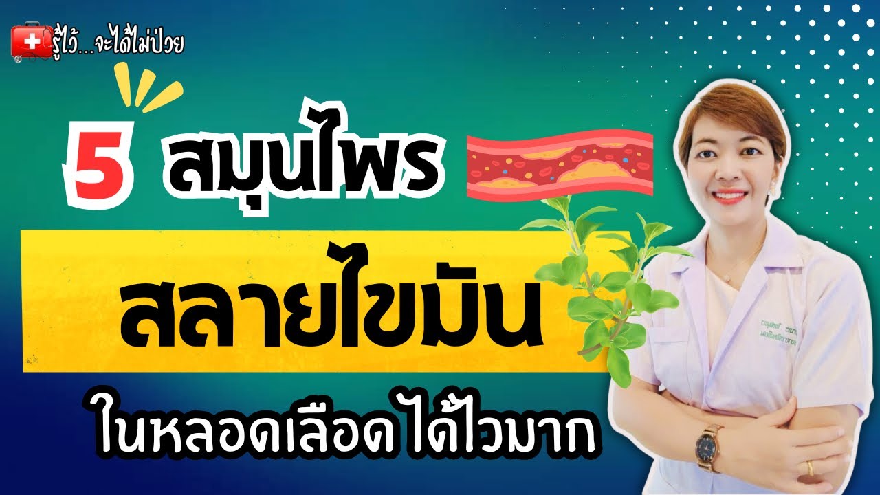 5 สมุนไพรสลายไขมันในหลอดเลือด |รู้ไว้จะได้ไม่ป่วย|ไขมันในเลือดสูง|กล้ามเนื้อหัวใจขาดเลือด|อัมพาต