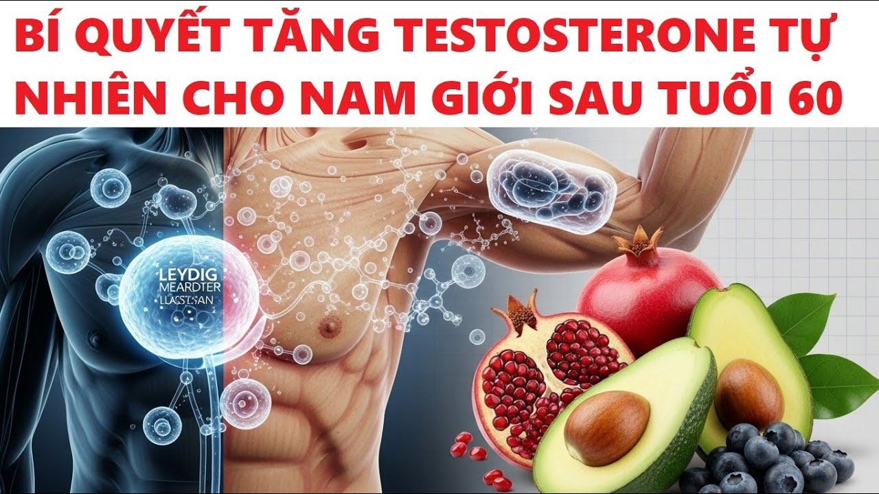 Bí Quyết Tăng Testosterone Tự Nhiên Cho Nam Giới Sau Tuổi 60 | Dr. Urology